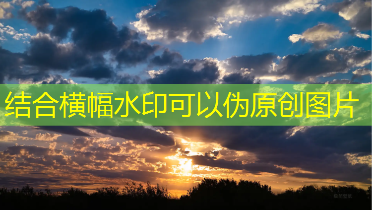 跆拳道的护具的护裆