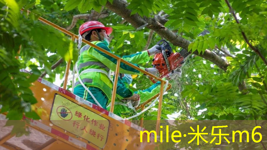 mile米乐m6官网：网球拍大拍面对比小拍面