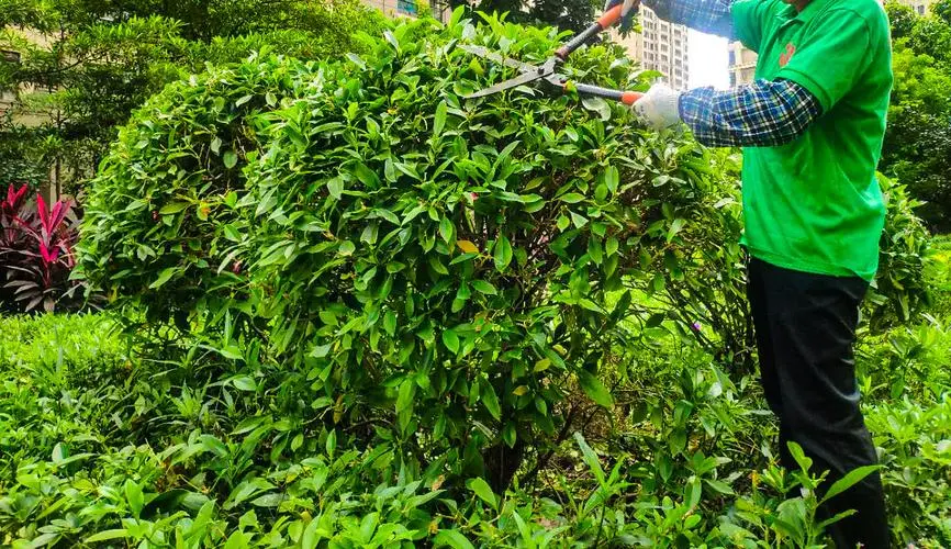 尤迪曼全碳素网球拍