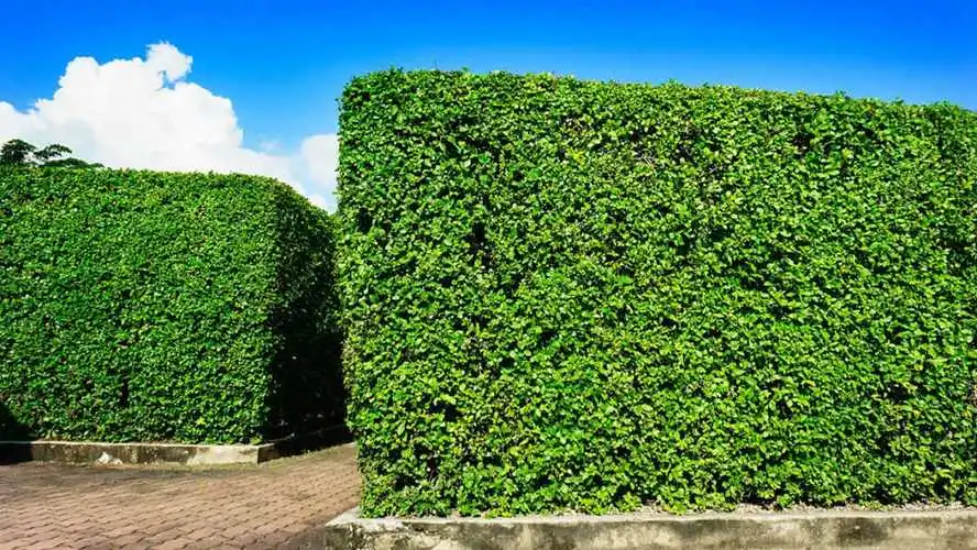 哪款网球拍适合初学者