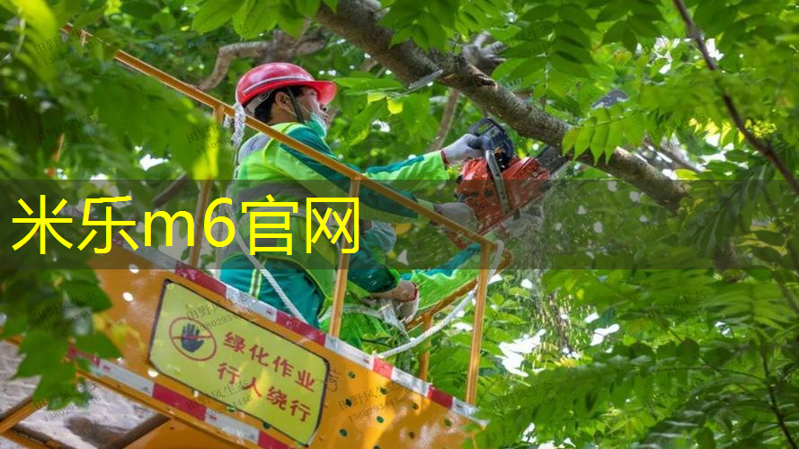 米乐m6官网：他们有一个网球拍吗_