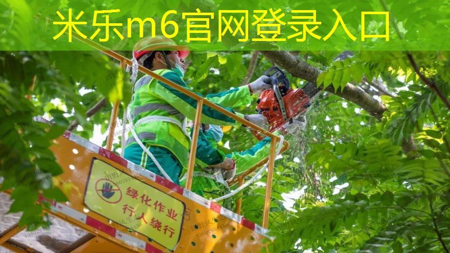 mile米乐m6官网：海德网球拍怎么查型号的