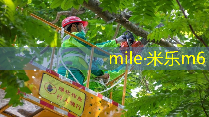 米乐m6官网登录入口：网球拍上卡扣怎么拆