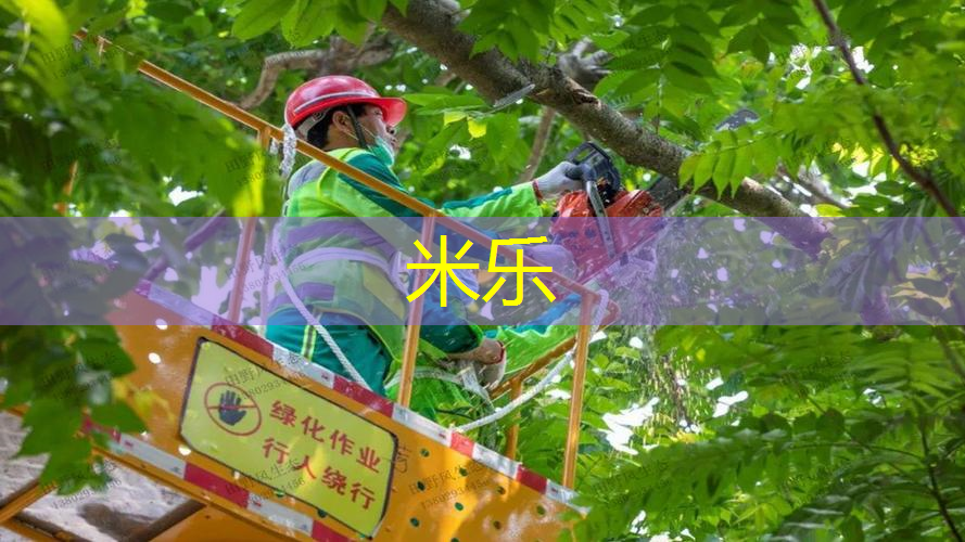 米乐：拿网球拍做吉他怎么做