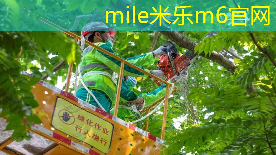 米乐：实惠的网球拍子价格多少