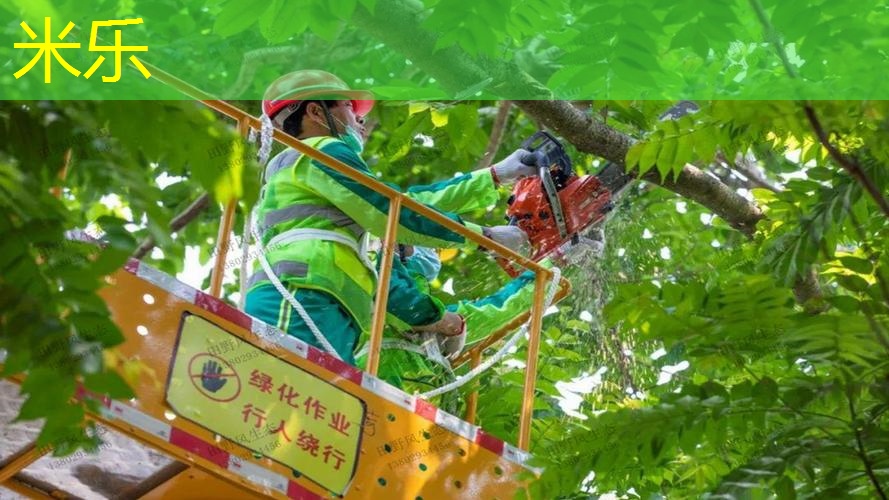 米乐m6官网：打网球拍的人物素材图