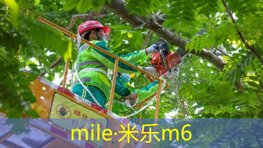 室内健身引体向上16个