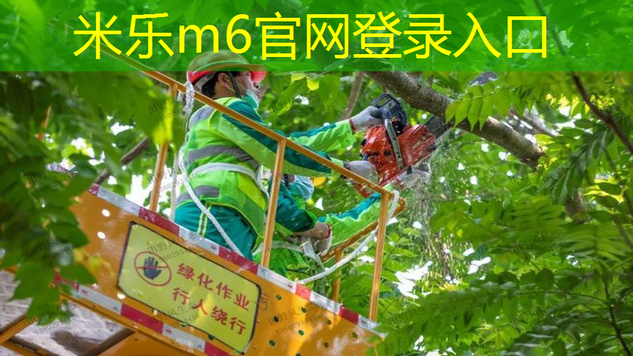 mile米乐m6官网：坏掉的乒乓球台