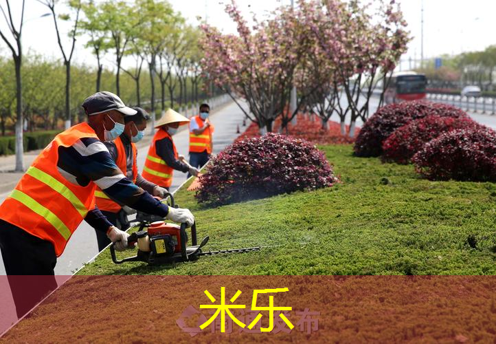 mile·米乐m6：不要的乒乓球台可以往哪里扔