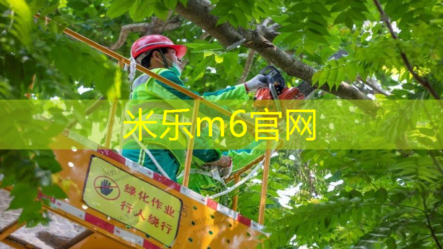 网球拍大拍面对比小拍面