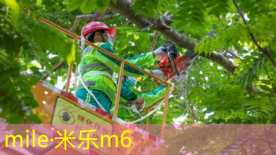 无绳自动网球拍怎么样