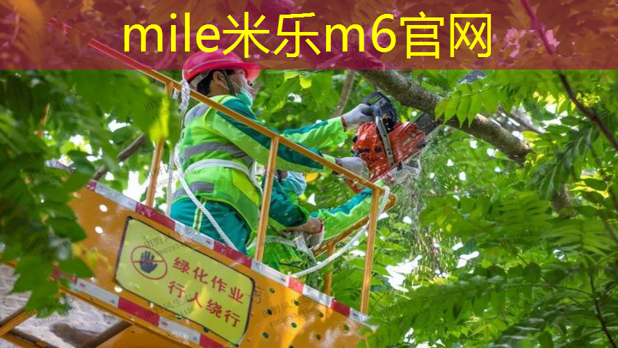 海德网球拍怎么查型号的