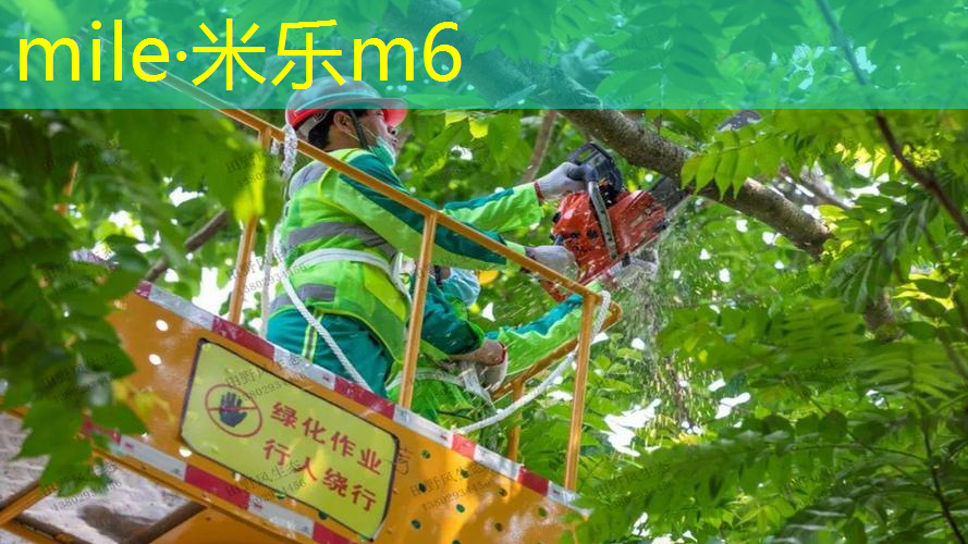 网球拍正品双拍怎么选的