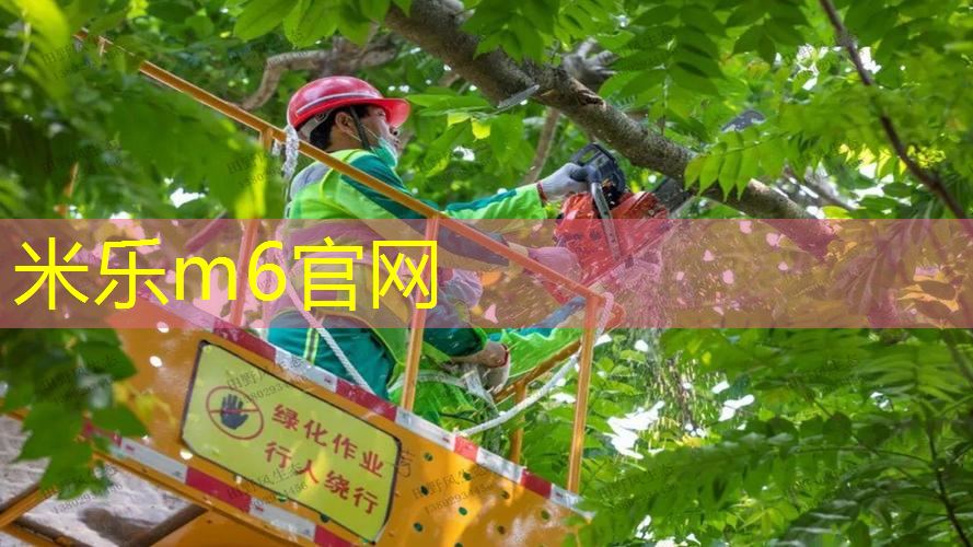 拿网球拍做吉他怎么做