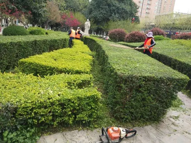 网球拍击球运动轨迹图