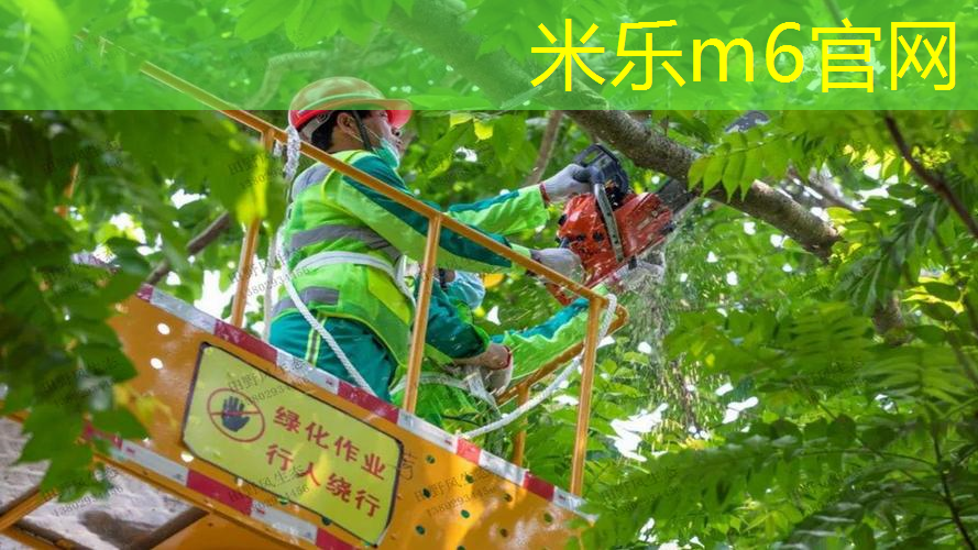 打网球拍的人物素材图