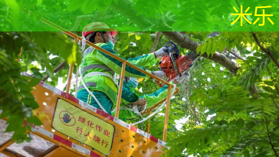 篮球无器材核心力量训练